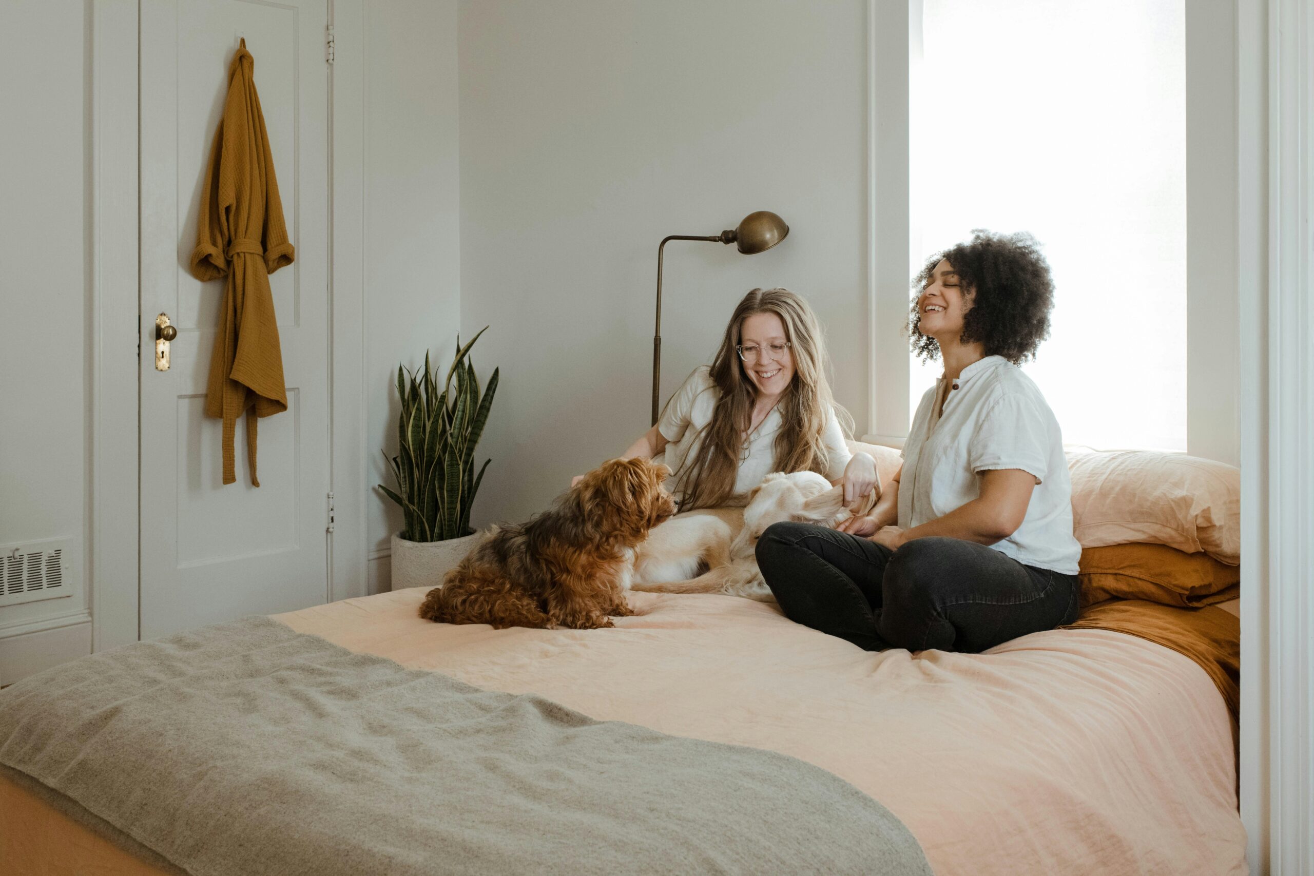 Pet In Bedroom Air Purifier For Pet Odor